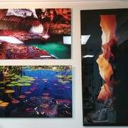 Acrylic Printing 29