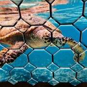 Ceramic Tile Printing 6