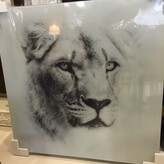 Glass Printing 50