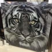 Glass Printing 51