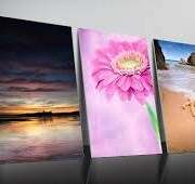 Canvas Printing 22