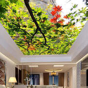 Stretch Ceiling Printing 39