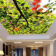 Stretch Ceiling Printing 60