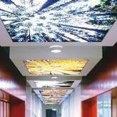 Stretch Ceiling Printing 54