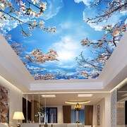 Stretch Ceiling Printing 97