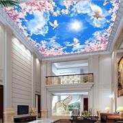 Stretch Ceiling Printing 95