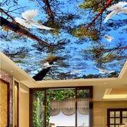 Stretch Ceiling Printing 34