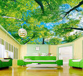 Stretch Ceiling Printing 63