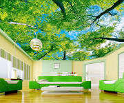 Stretch Ceiling Printing 63