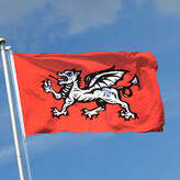 Flag Printing 80
