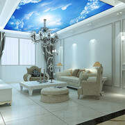 ceiling film (82)